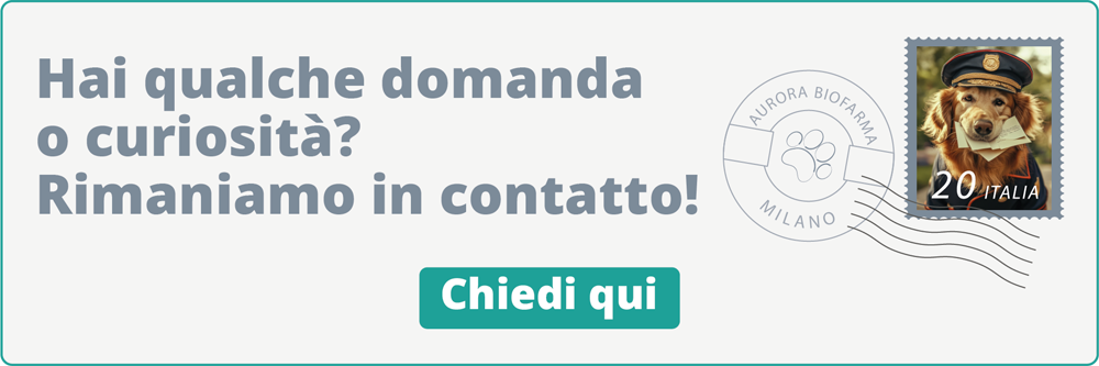 Rimaniamo in contatto